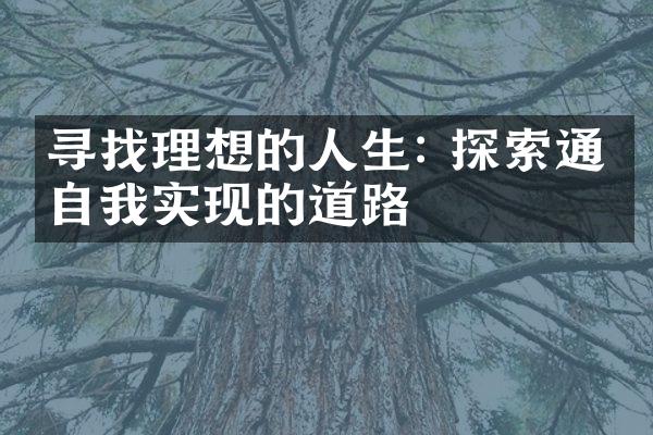 寻找理想的人生: 探索通往自我实现的道路