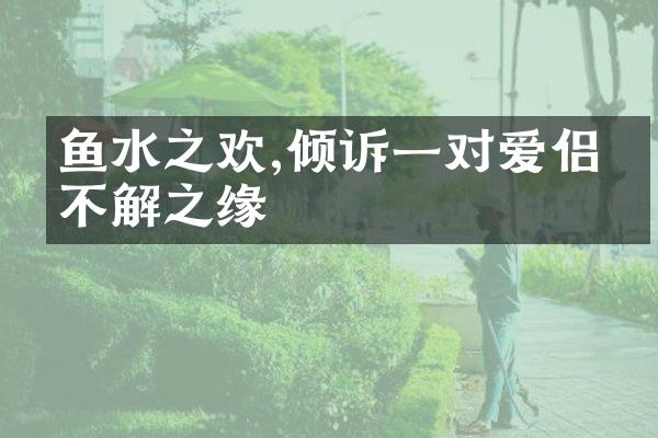鱼水之欢,倾诉一对爱侣的不解之缘
