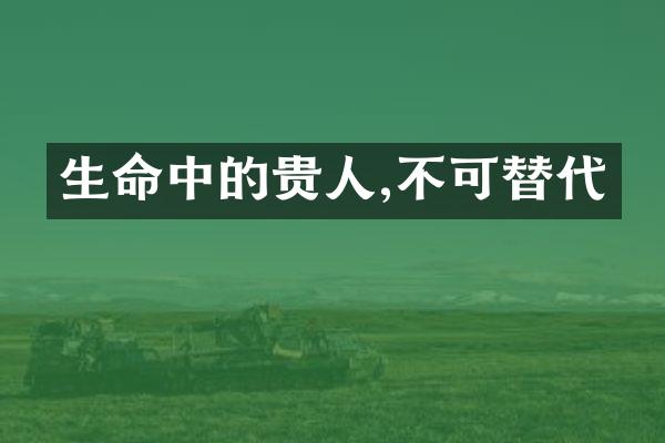 生命中的贵人,不可替代