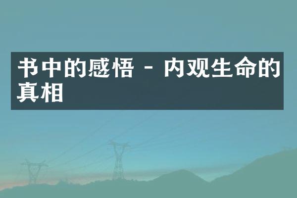 书中的感悟 - 内观生命的真相
