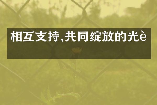相互支持,共同绽放的光芒