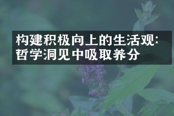 构建积极向上的生活观:从哲学洞见中吸取养分
