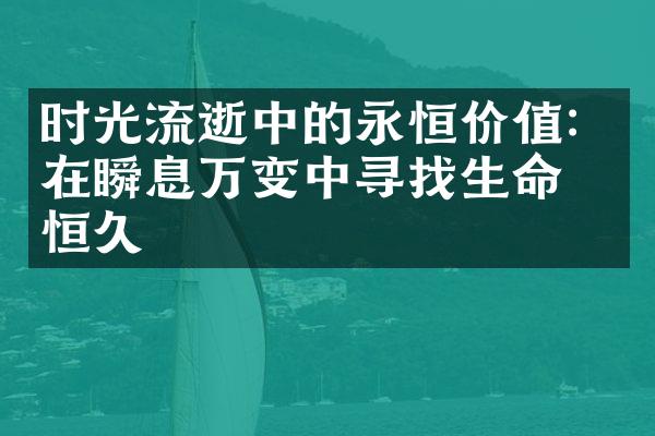 时光流逝中的永恒价值：在瞬息万变中寻找生命的恒久