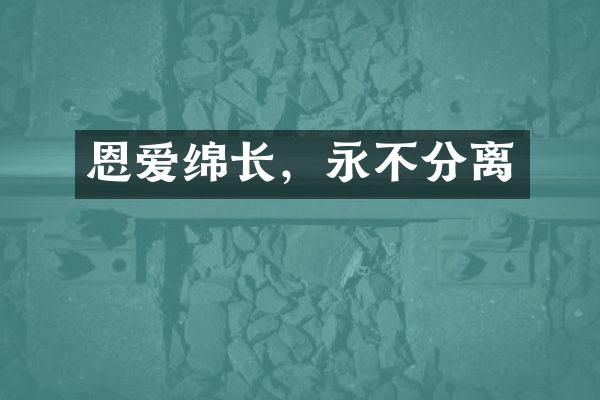 恩爱绵长，永不分离