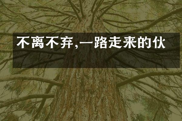 不离不弃,走来的伙伴