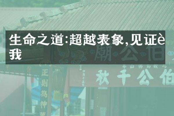 生命之道:超越表象,见证自我