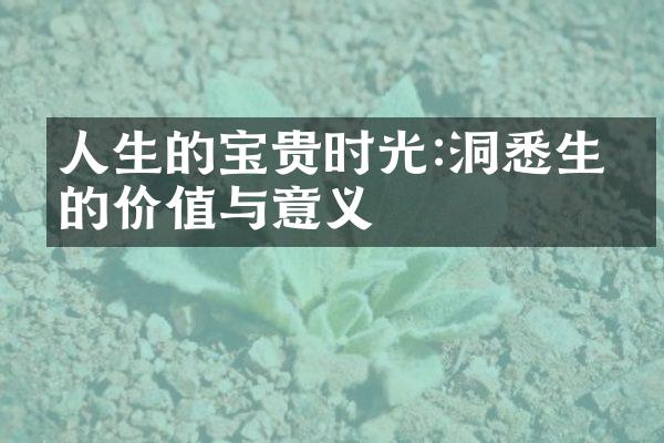 人生的宝贵时光:洞悉生命的价值与意义