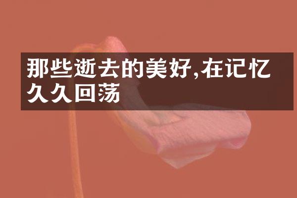 那些逝去的美好,在记忆中回荡