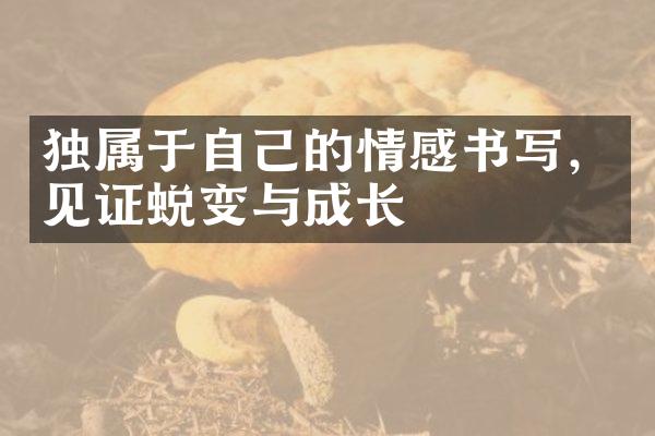 独属于自己的情感书写,见证蜕变与成长