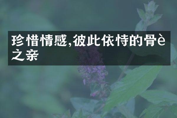 珍惜情感,彼此依恃的骨肉之亲