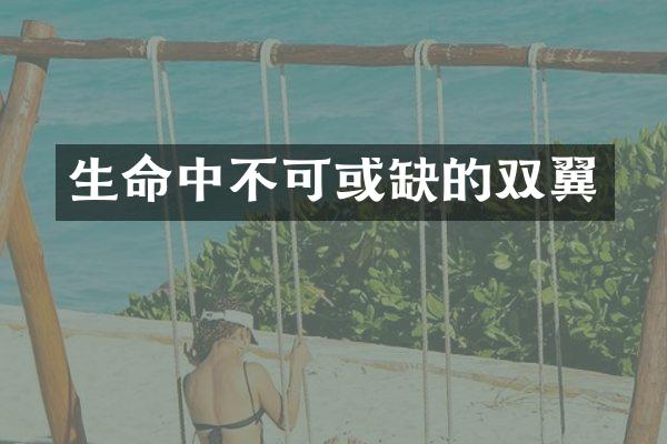 生命中不可或缺的双翼