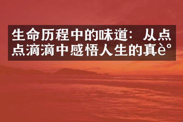 生命中的味道：从点点滴滴中感悟人生的真谛