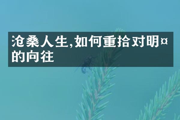 沧桑人生,如何重拾对明天的向往