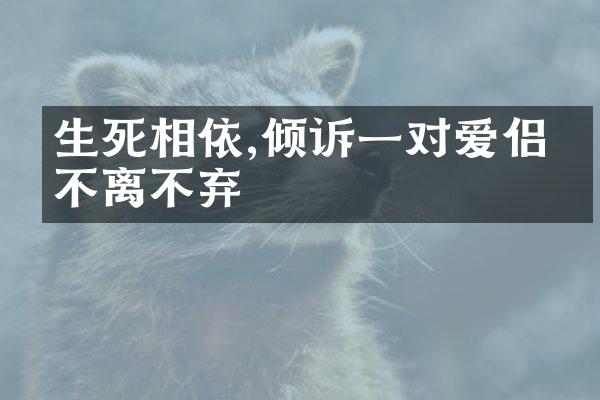 生死相依,倾诉一对爱侣的不离不弃