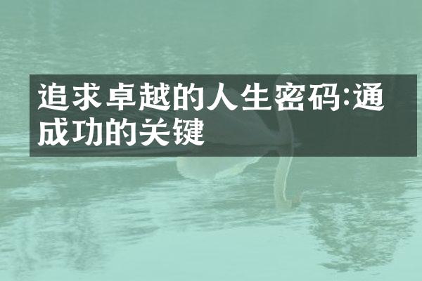 追求卓越的人生密码:通往成功的关键