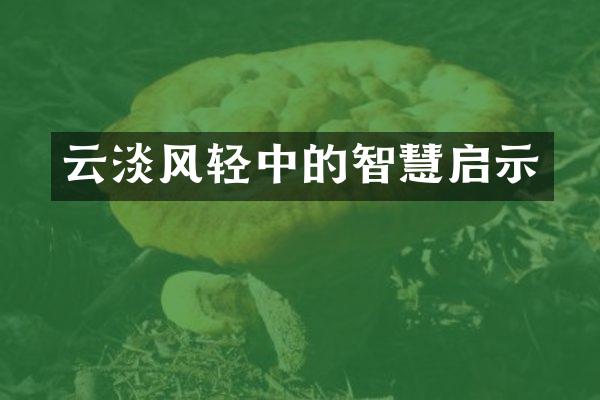 云淡风轻中的智慧启示