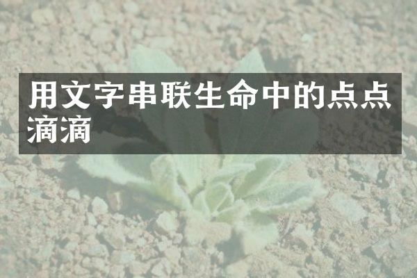 用文字串联生命中的点点滴滴