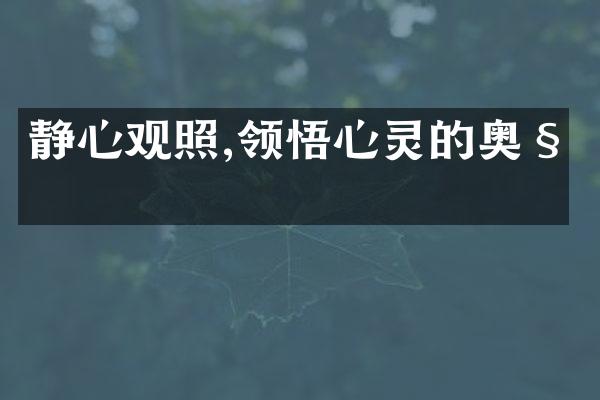 静心观照,领悟心灵的奥秘