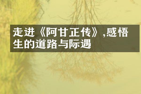 走进《阿甘正传》,感悟人生的道路与际遇