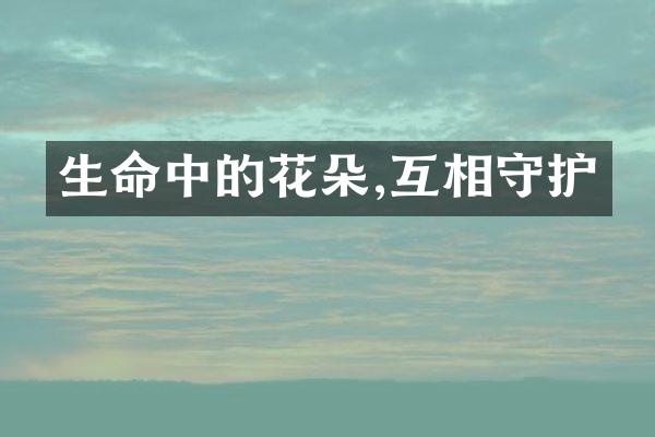 生命中的花朵,互相守护