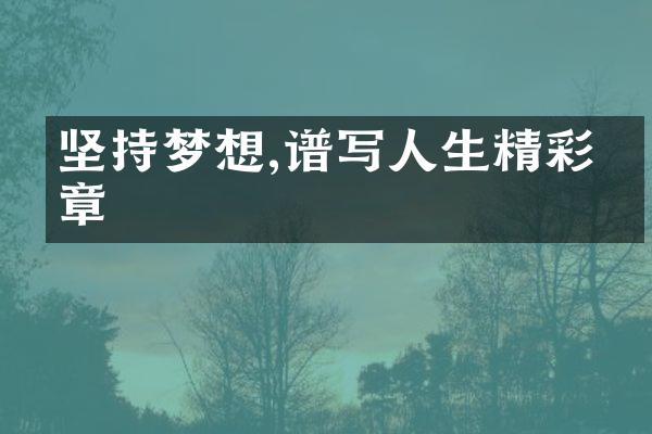 坚持梦想,谱写人生精彩篇章
