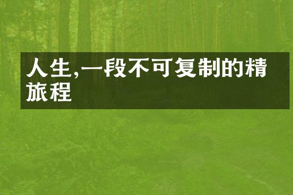 人生,一段不可复制的精彩旅程
