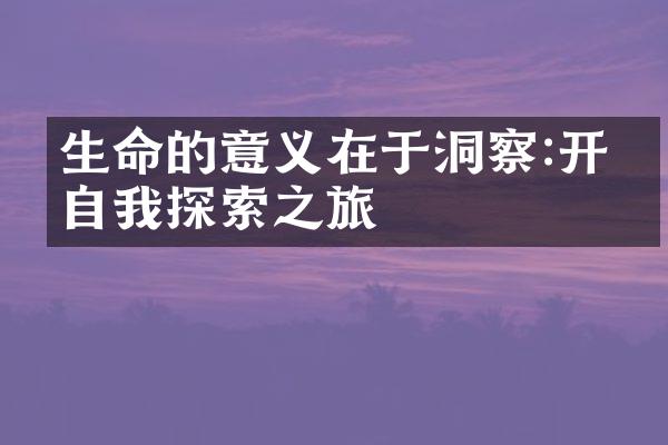 生命的意义在于洞察:开启自我探索之旅