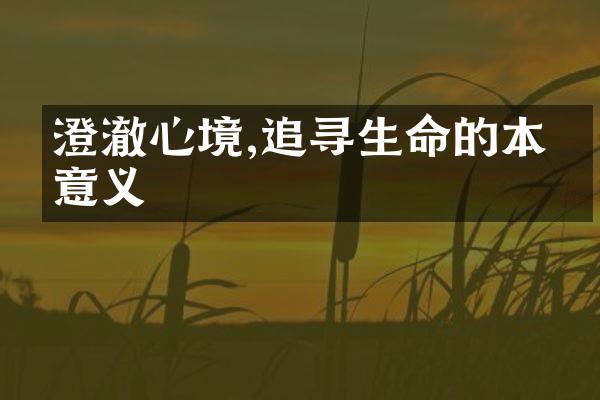 澄澈心境,追寻生命的本真意义
