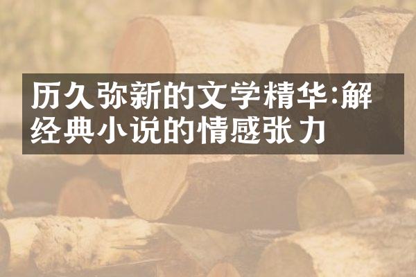 历久弥新的文学精华:解码经典小说的情感张力