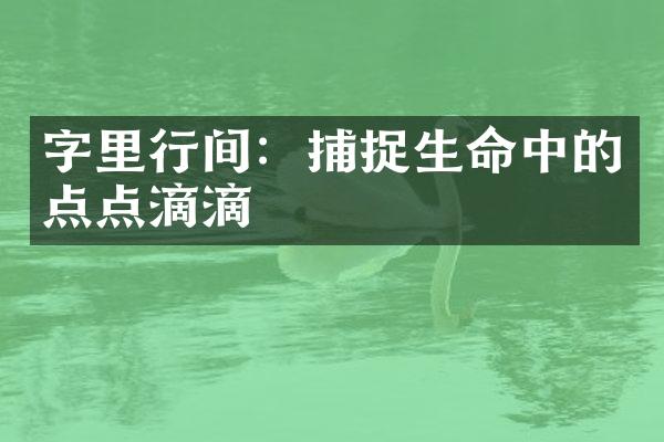 字里行间：捕捉生命中的点点滴滴