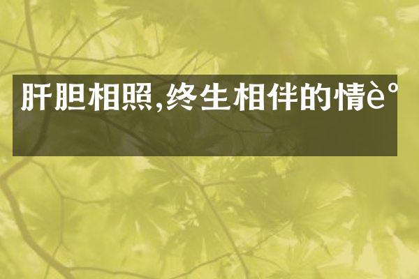 肝胆相照,终生相伴的情谊