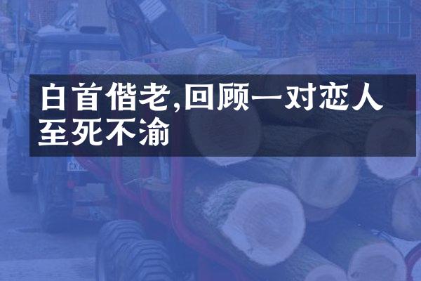 白首偕老,回顾一对恋人的至死不渝