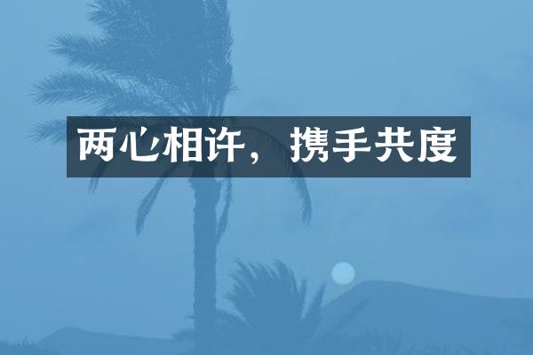 两心相许，携手共度