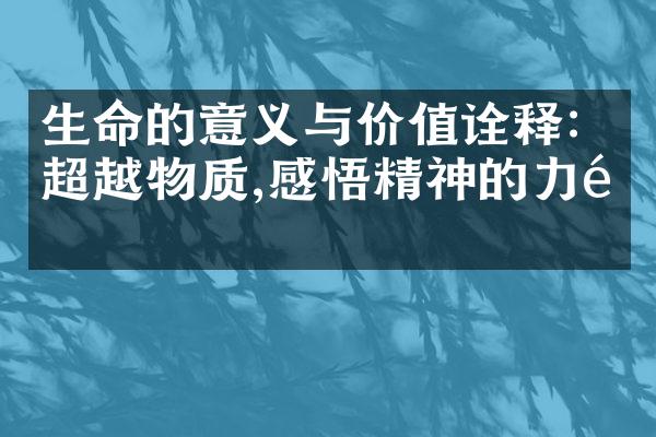 生命的意义与价值诠释：超越物质,感悟精神的力量