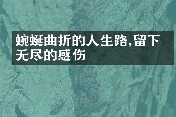 蜿蜒曲折的人生路,留下了无尽的感伤