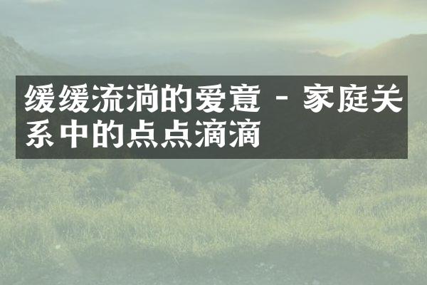 缓缓流淌的爱意 - 家庭关系中的点点滴滴