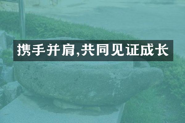 携手并肩,共同见证成长