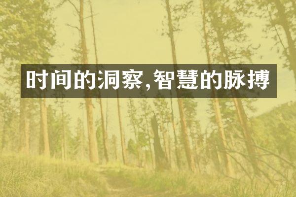 时间的洞察,智慧的脉搏
