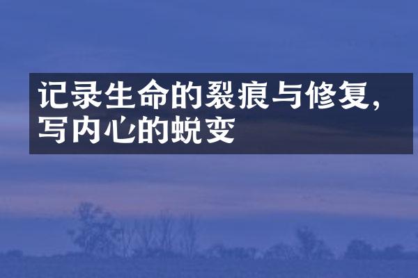记录生命的裂痕与修复,书写内心的蜕变