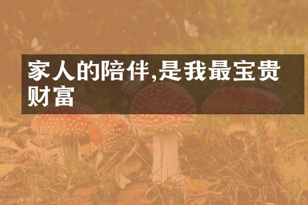 家人的陪伴,是我最宝贵的财富