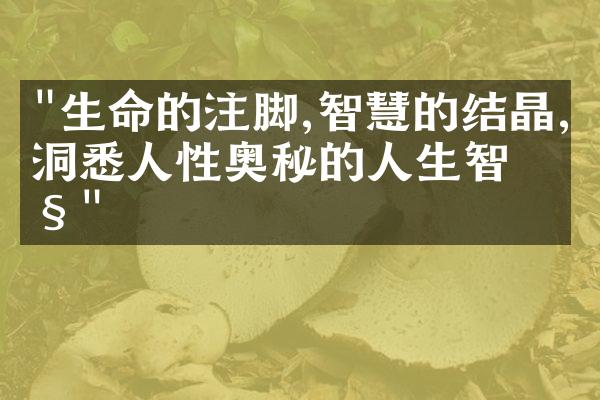 "生命的注脚,智慧的结晶,洞悉人性奥秘的人生智慧"