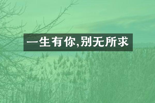 一生有你,别无所求