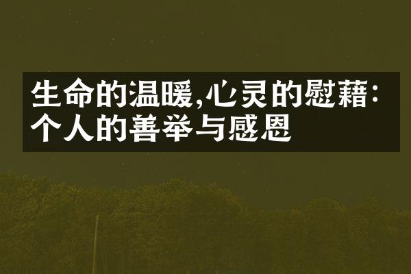 生命的温暖,心灵的慰藉:一个人的善举与感恩