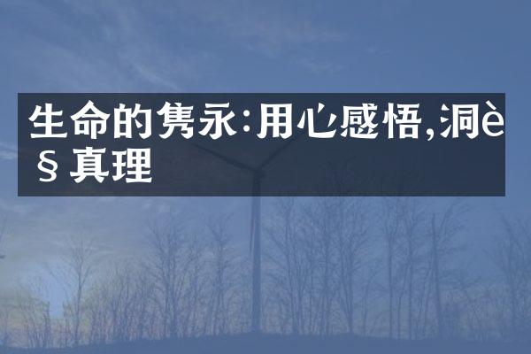 生命的隽永:用心感悟,洞见真理