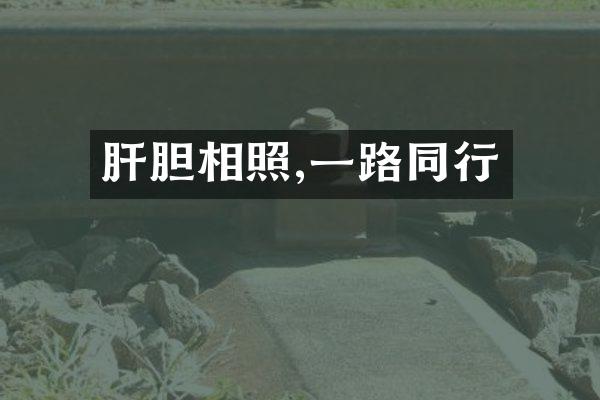 肝胆相照,同行