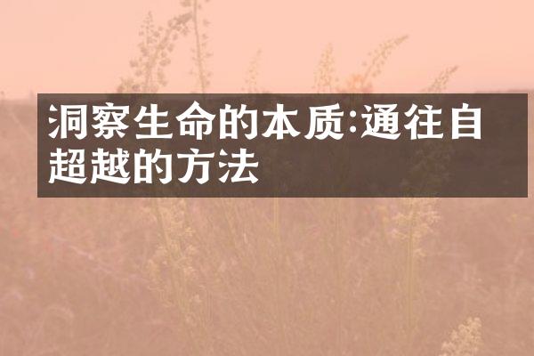 洞察生命的本质:通往自我超越的方法