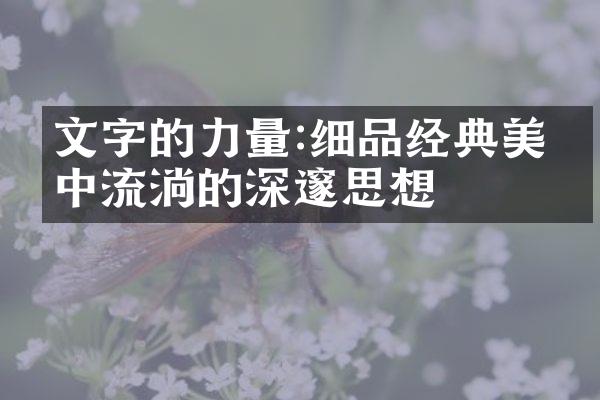 文字的力量:细品经典美文中流淌的深邃思想