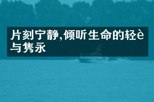片刻宁静,倾听生命的轻语与隽永