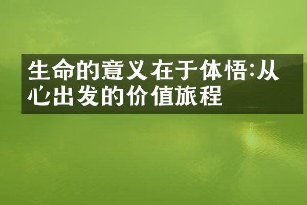 生命的意义在于体悟:从内心出发的价值旅程