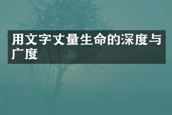 用文字丈量生命的深度与广度